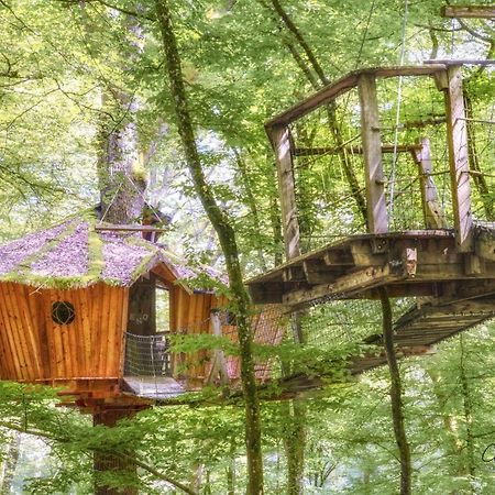 L'Arbre A Cabane Guyonvelle 外观 照片