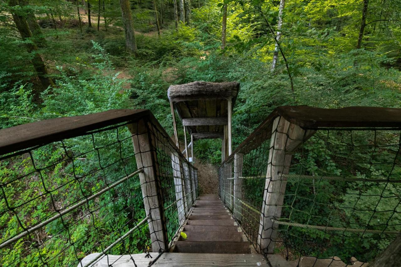 L'Arbre A Cabane Guyonvelle 外观 照片