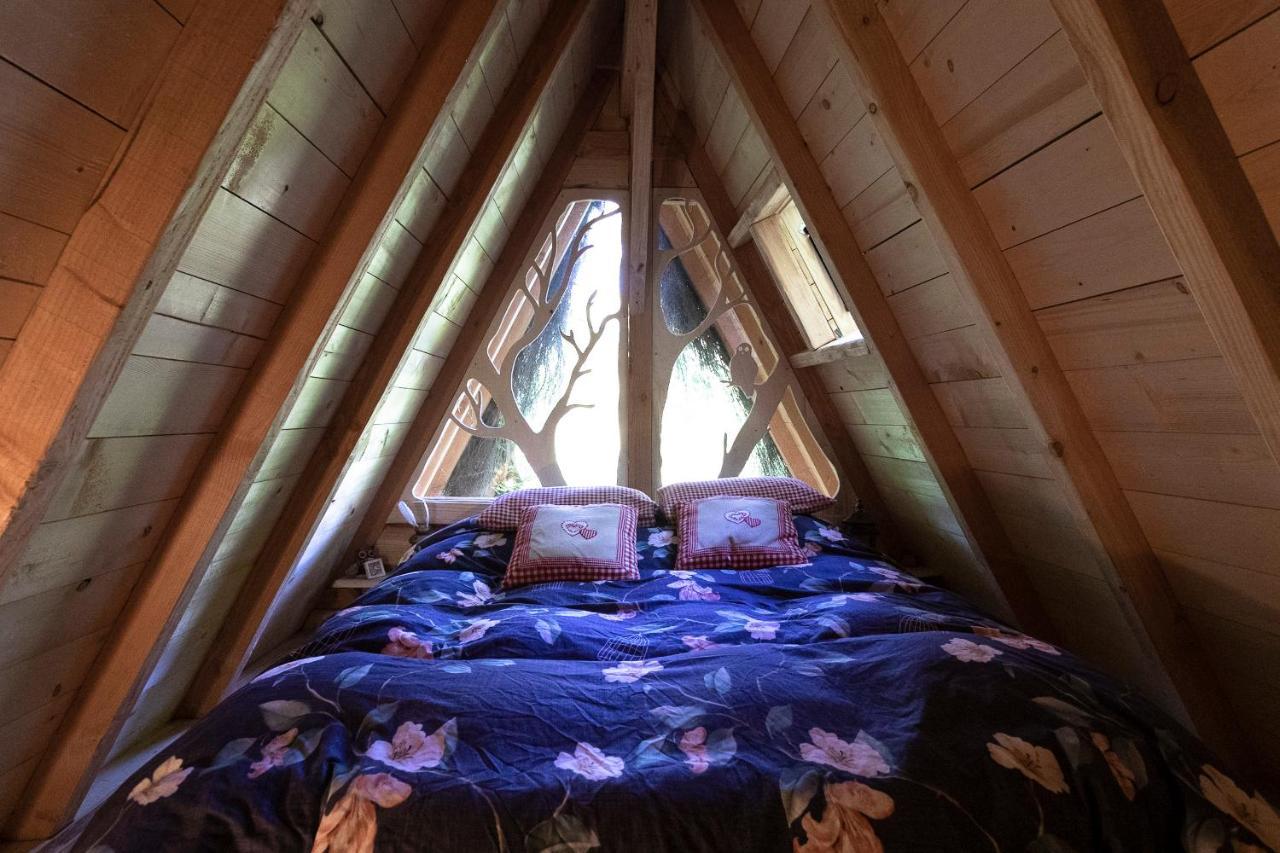 L'Arbre A Cabane Guyonvelle 外观 照片