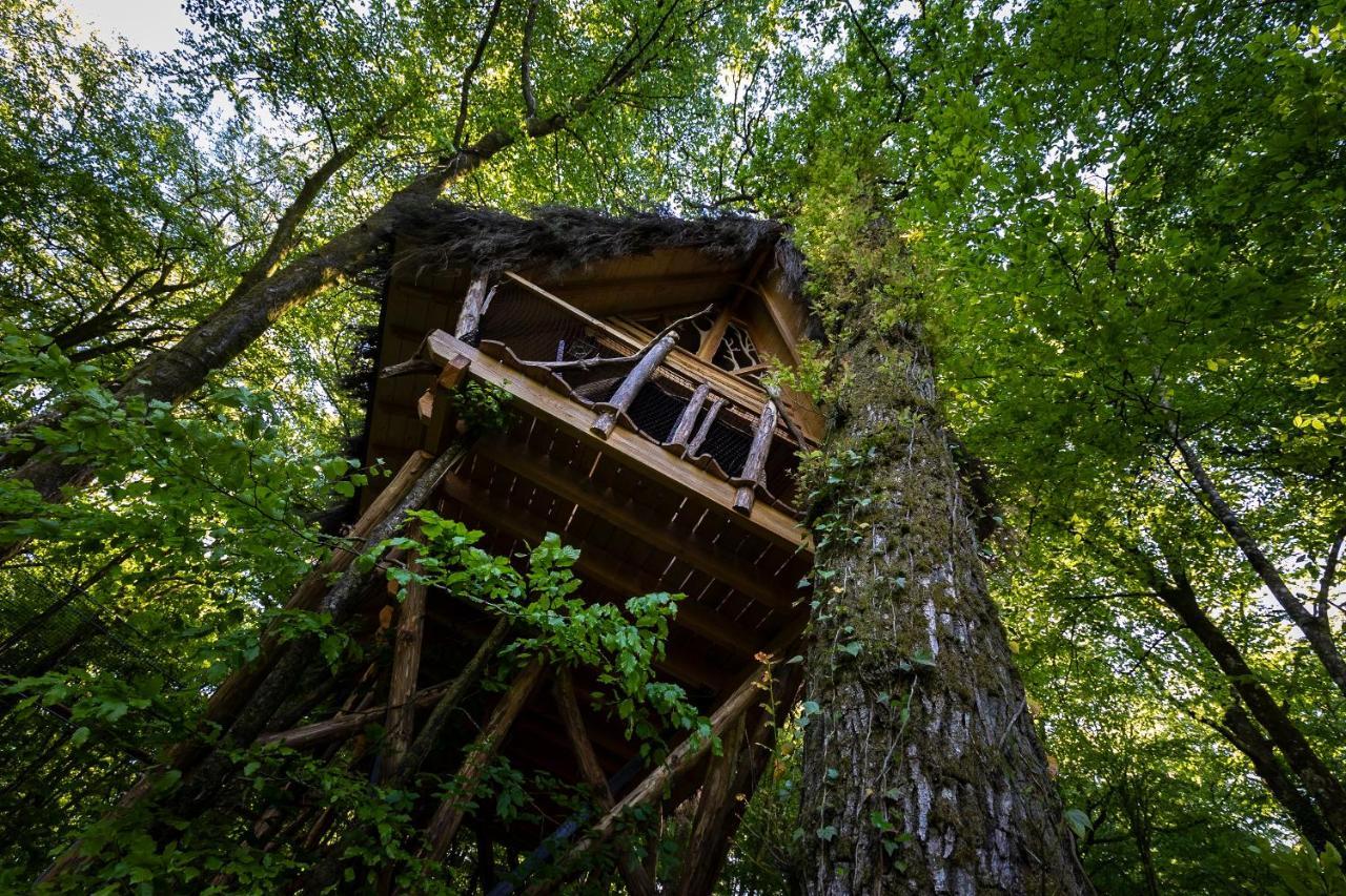 L'Arbre A Cabane Guyonvelle 外观 照片