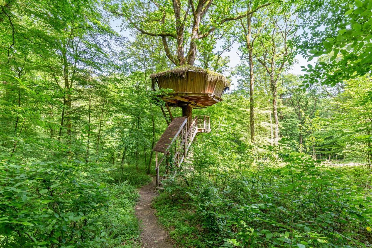 L'Arbre A Cabane Guyonvelle 外观 照片