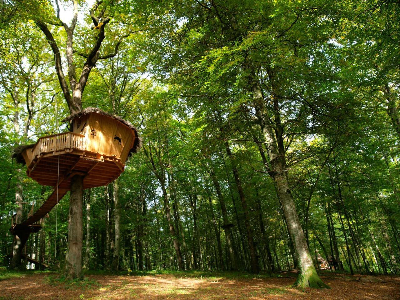 L'Arbre A Cabane Guyonvelle 外观 照片