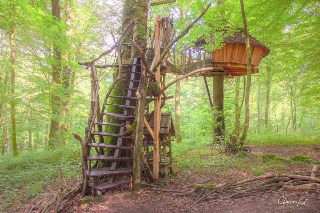 L'Arbre A Cabane Guyonvelle 外观 照片