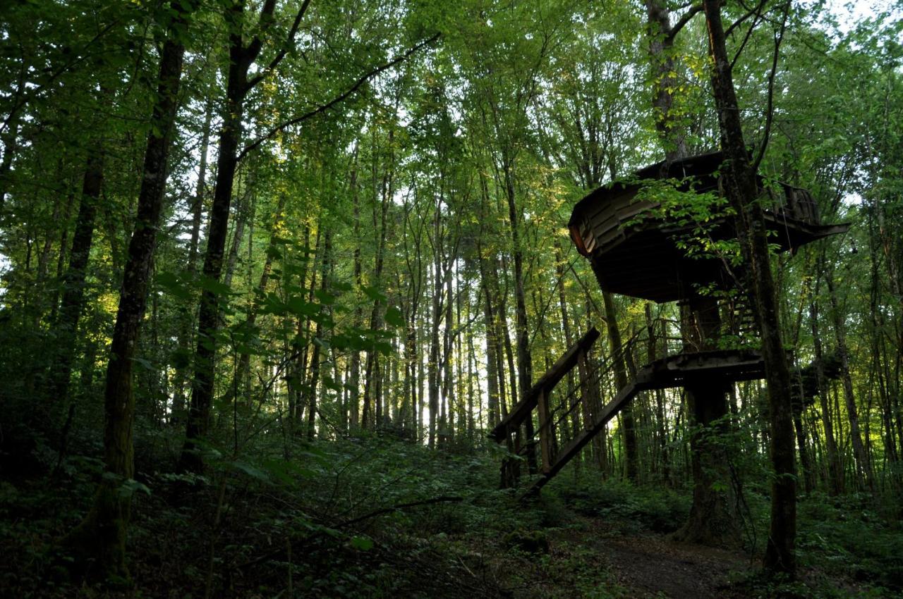 L'Arbre A Cabane Guyonvelle 外观 照片
