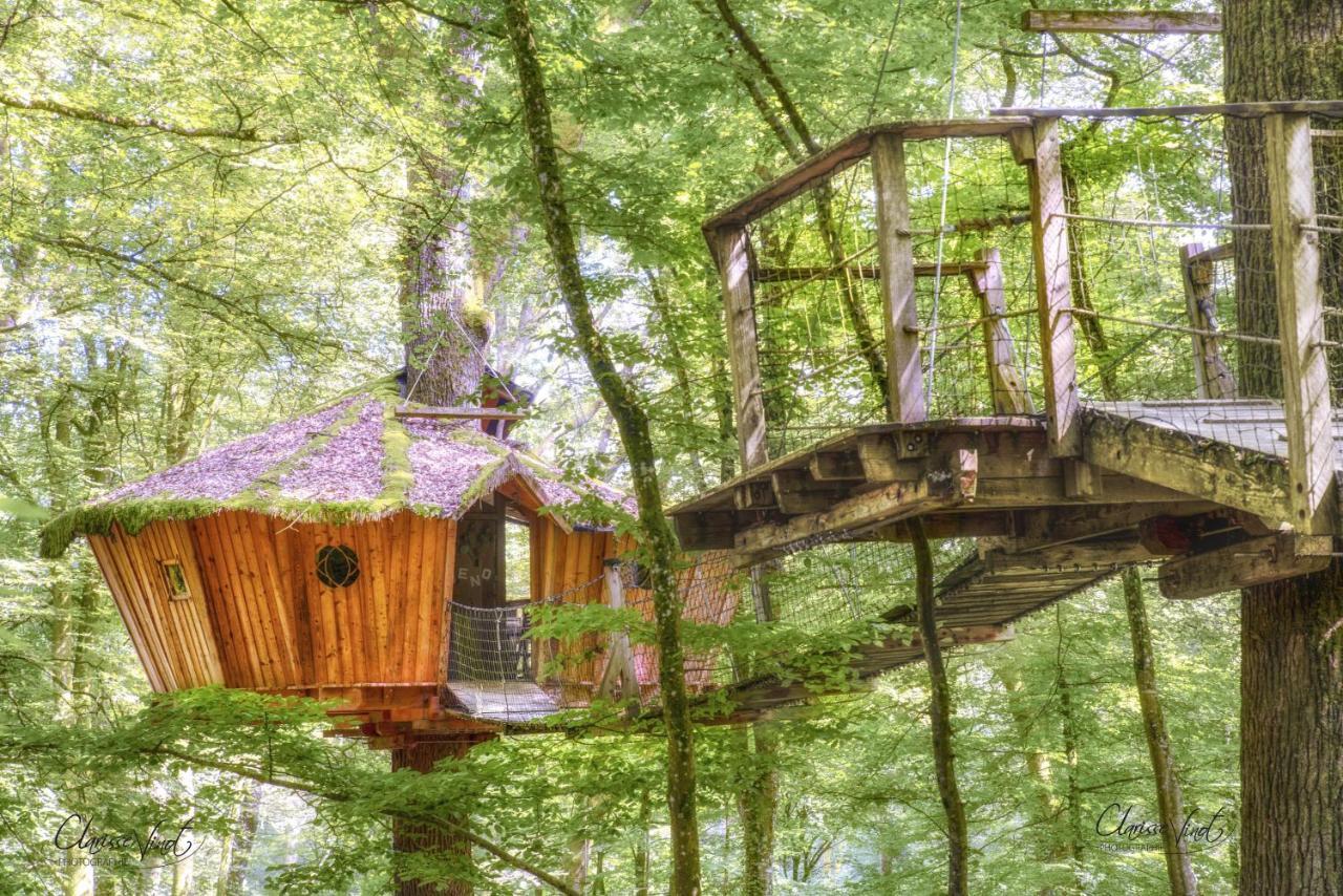 L'Arbre A Cabane Guyonvelle 外观 照片