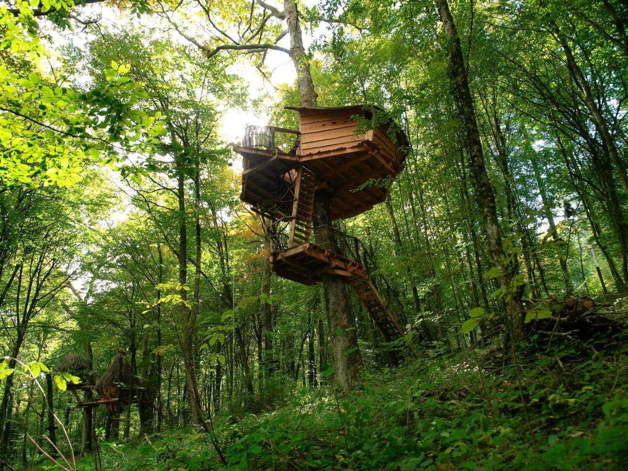 L'Arbre A Cabane Guyonvelle 外观 照片