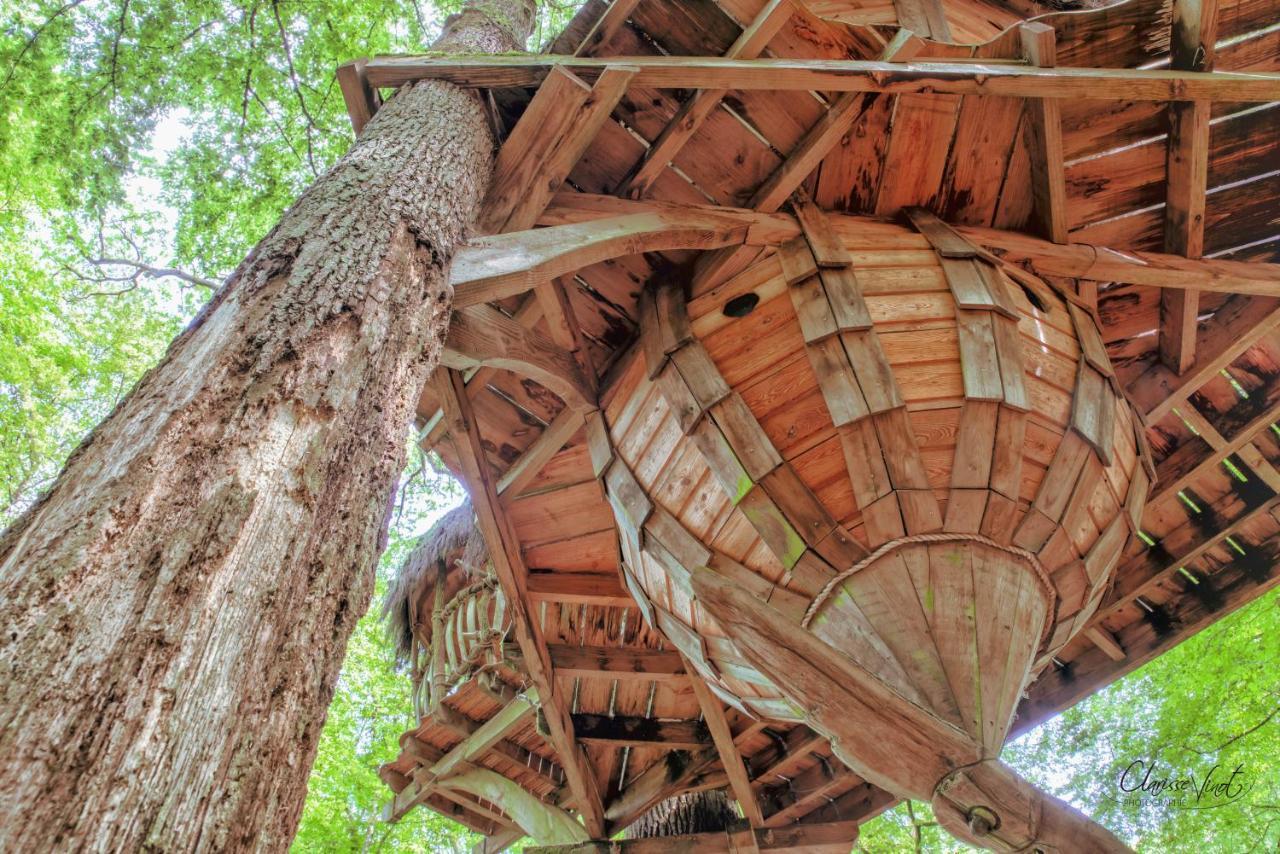 L'Arbre A Cabane Guyonvelle 外观 照片
