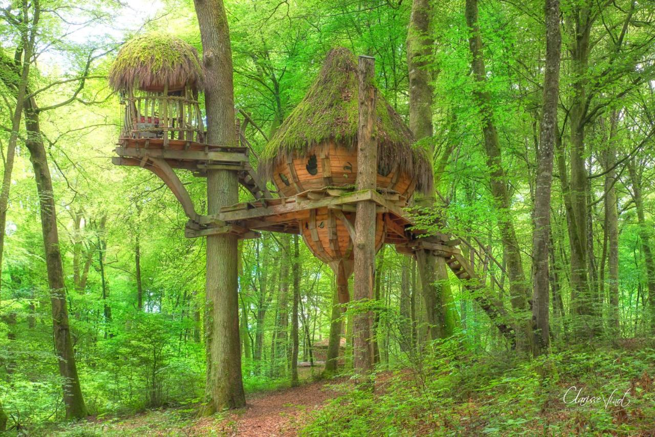 L'Arbre A Cabane Guyonvelle 外观 照片